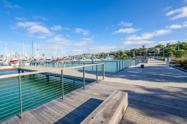 Westhaven Marina biridir en büyük yat limanına Auckland, Yeni Zelanda.