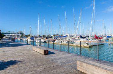 Westhaven Marina biridir en büyük yat limanına Auckland, Yeni Zelanda.