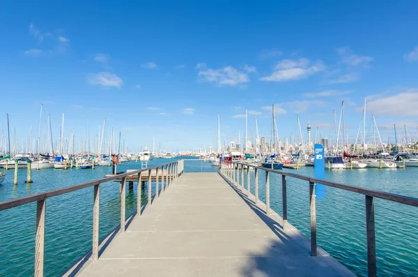 Westhaven Marina é a maior marina de iates em Auckland, Nova Zelândia . — Fotografia de Stock