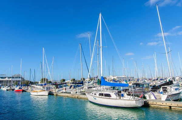 Westhaven Marina est le plus grand port de plaisance à Auckland, Nouvelle-Zélande . — Photo