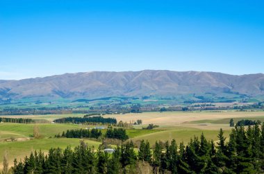 Yeni Zelanda doğa manzara.