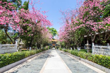Yuantong tapınağıdır Kunming, Yunnan Eyaleti, Çin en ünlü Budist tapınağı. 