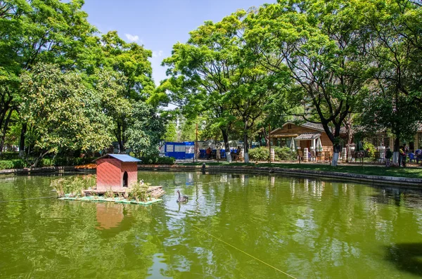 Green Lake Park también conocido como Cui Hu Park es uno de los parques más bellos de la ciudad de Kunming . —  Fotos de Stock