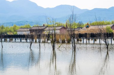 Lijiang Lashi Gölü sulak bir ulusal doğal doğal Lijiang city, Çin yakınındaki yer. 