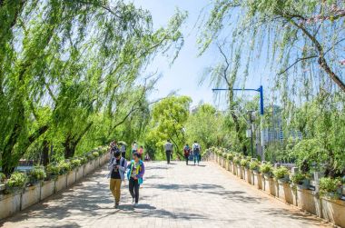 Green göl Park Cui Hu Park Kunming şehirdeki en güzel parklarından biridir olarak da bilinir.