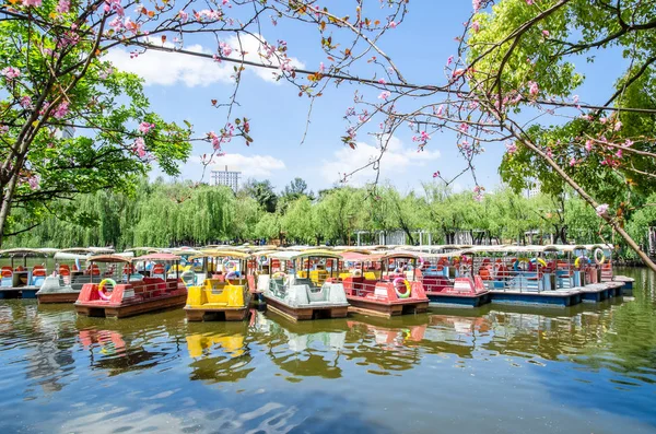 Vzibicikli hajók a zöld tó Park, ez is ismert, mint Cui Hu Park parkoló az egyik legszebb parkja Kunming City. — Stock Fotó