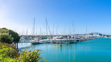 Auckland, Yeni Zelanda - Ekim 25,2015: Westhaven Marina biridir en büyük yat limanına Auckland, Yeni Zelanda.