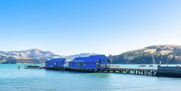 Akaroa Zéland 2016 Május Akaroa Jetty Mólója Zéland Déli Szigete — Stock Fotó