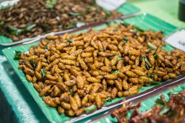 Deep fried silk worms selling at the Bangkok night market. Fried insects is one of the famous snack in Thailand.