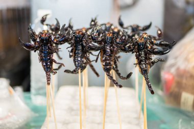 Kızarmış akrepler Bangkok 'ta gece pazarında satılıyor. Kızarmış böcekler Tayland' ın en ünlü atıştırmalıklarından biridir..