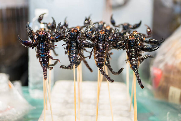 Deep fried scorpions selling at the Bangkok night market.Fried insects is one of the famous snack in Thailand.
