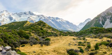 Cook Dağı Ulusal Parkı, Yeni Zelanda