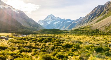 Cook Dağı Ulusal Parkı, Yeni Zelanda