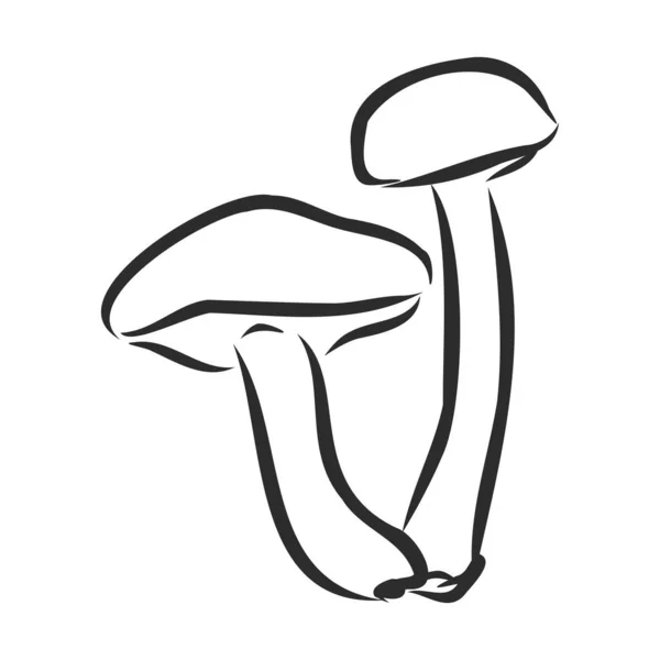 Signe de champignon sauvage de forêt, croquis vectoriel — Image vectorielle