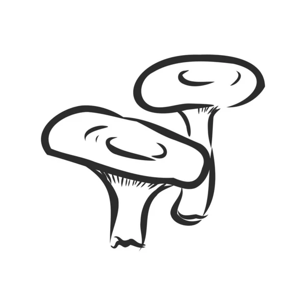 Dziki leśny grzyb znak, wektor szkic ilustracja — Wektor stockowy