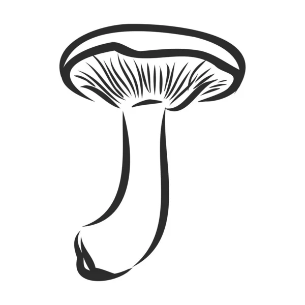 Vilda skogen svamp tecken, vektor skiss illustration — Stock vektor