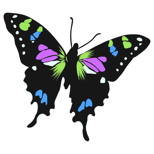 화려 한 현실적 나비, 곤충, 장식을 위한 벡터 삽화 — 스톡 벡터