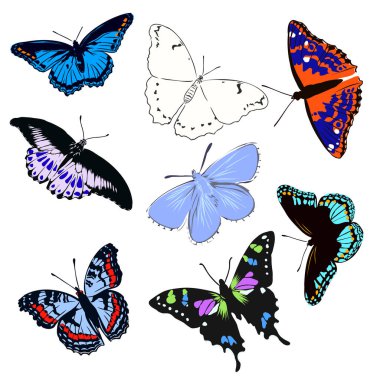 dekorasyon için renkli gerçekçi kelebek, böcek, vektör çizimi