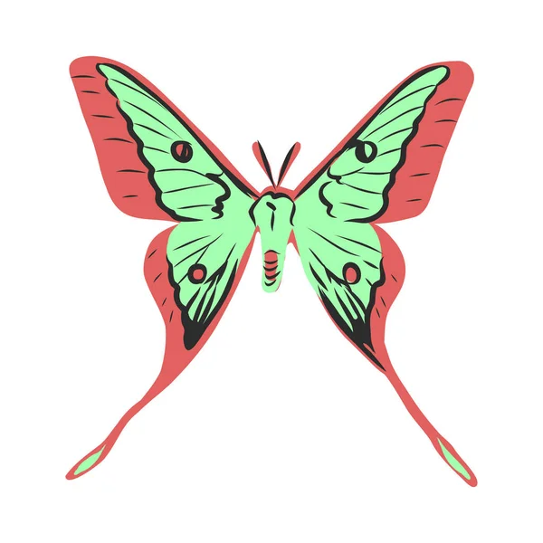 Kleurrijke realistische vlinder, insect, vector illustratie voor decoratie — Stockvector