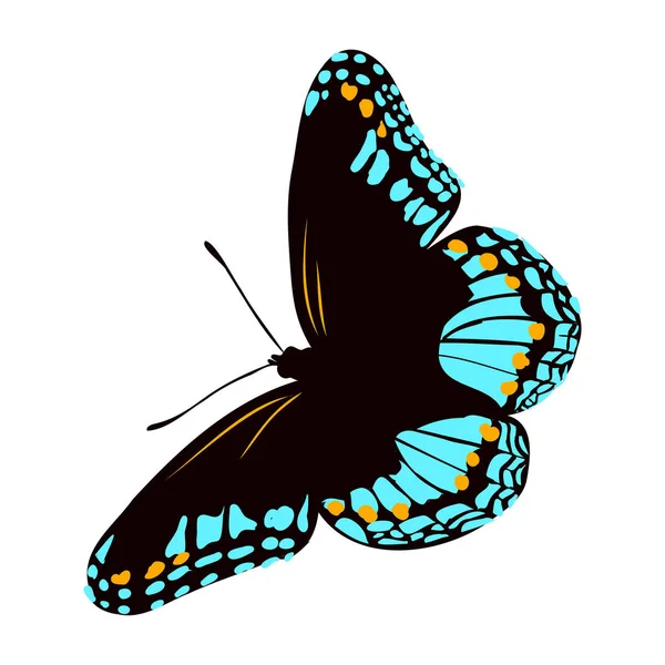 Πολύχρωμη ρεαλιστική πεταλούδα, έντομο, διανυσματική απεικόνιση για διακόσμηση — Διανυσματικό Αρχείο