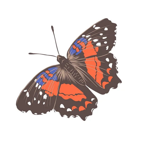 Mariposa realista colorido, insecto, ilustración del vector para la decoración — Archivo Imágenes Vectoriales