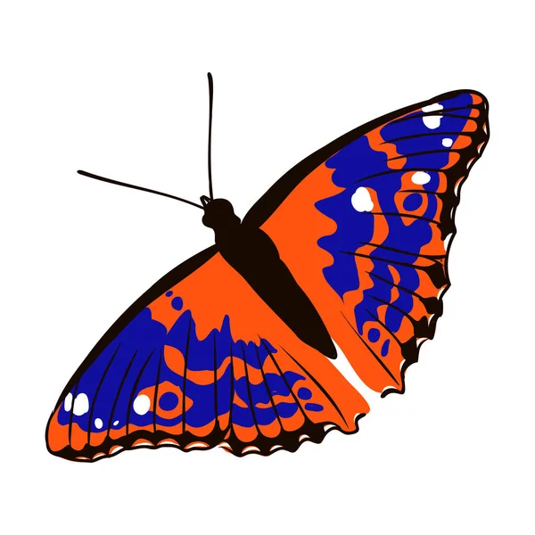 Mariposa realista colorido, insecto, ilustración del vector para la decoración — Archivo Imágenes Vectoriales