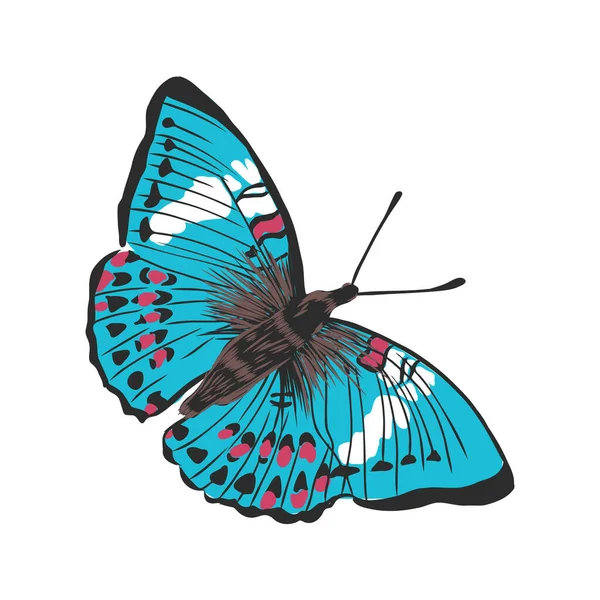 Kleurrijke realistische vlinder, insect, vector illustratie voor decoratie — Stockvector