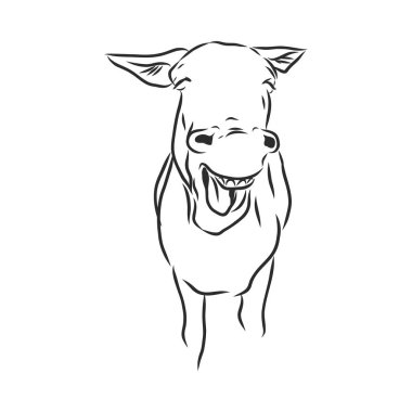 komik eşek gülüşü, çizgi film, vektör çizimi çizimi