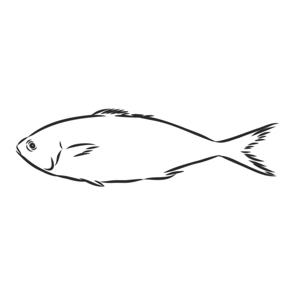 Flussfische, Angelzeichen, Silhouette, Vektorskizze Illustration — Stockvektor