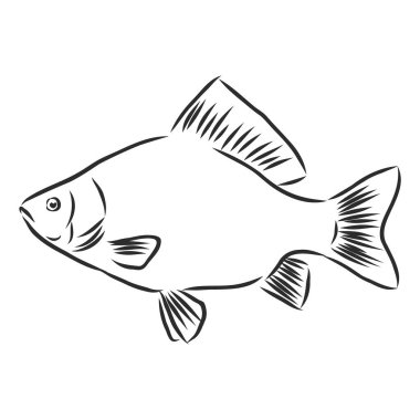 Nehir balığı, balıkçı işareti, siluet, vektör çizimi çizimi