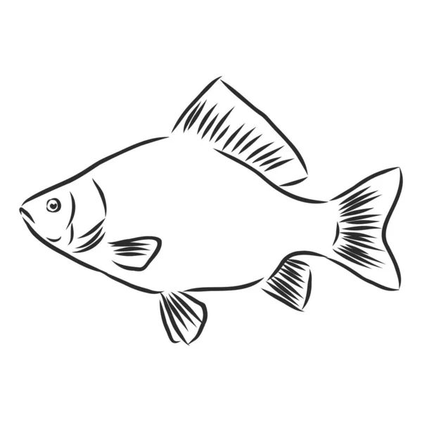 Älvfisk, fiskeskylt, siluett, vektor skiss illustration — Stock vektor