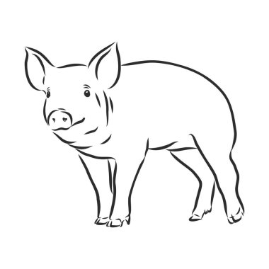 Porselen klozet, vektör çizimi, sıhhi tesisat, iç mekan.