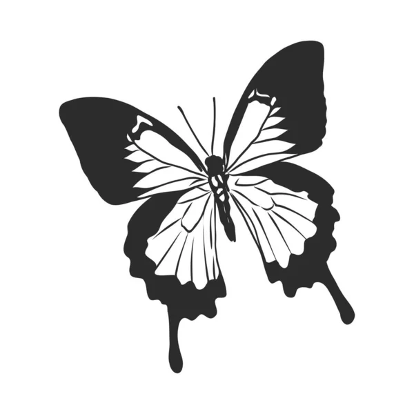 Σιλουέτα μιας όμορφης πεταλούδας για διακόσμηση, διακόσμηση στοιχείων, διανυσματική απεικόνιση — Διανυσματικό Αρχείο