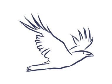 Vektör eli çekilmiş kuzgun. Siyah beyaz çizim. Karganın kaba çizimi.