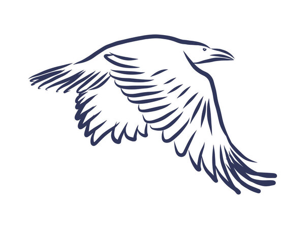Векторный ручной ворон. черно-белая иллюстрация.
