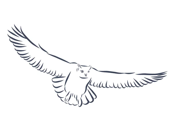 フクロウ手描き 黒と白の分離ベクトル — ストックベクタ