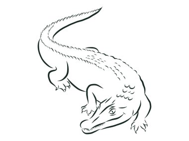 El yapımı timsah. Timsah hayvan, yırtıcı sürüngen ağzı açık, vektör...