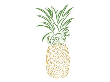 Ananas meyvesi resmi. Siyah-beyaz vektör çizimi. skeç