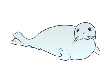 Kürk fok vektörü, beyaz arka planda izole edilmiş hayvan çizimi. Yazdırma, web tasarımı, kartlar, logo kavramı