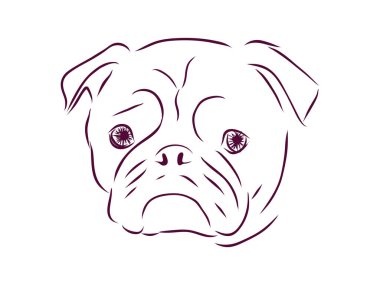 Şirin köpek. Eskiz tarzında bir köpek portresi. El çizimi vektör çizimi. Siyah beyaz hayvan çizimi.