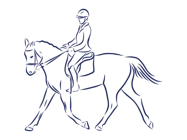 Equitación Ilustración Del Vector Del Contorno Equitación — Archivo Imágenes Vectoriales