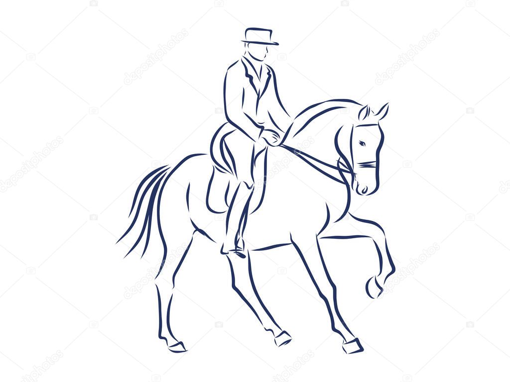 Horseback riding, horsemanship contour vector illustration