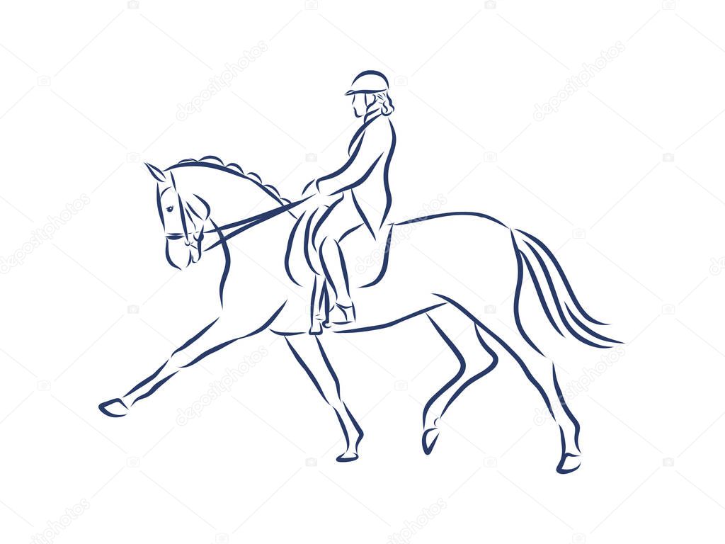 Horseback riding, horsemanship contour vector illustration
