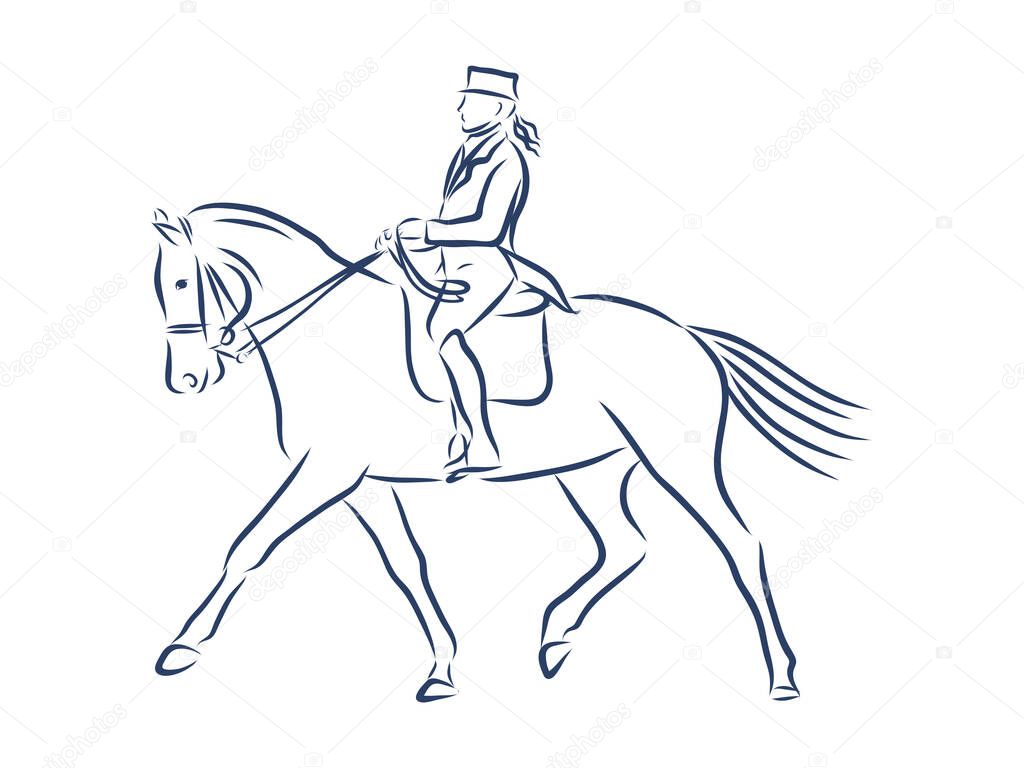 Horseback riding, horsemanship contour vector illustration