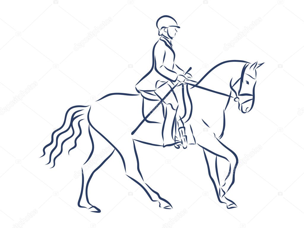 Horseback riding, horsemanship contour vector illustration