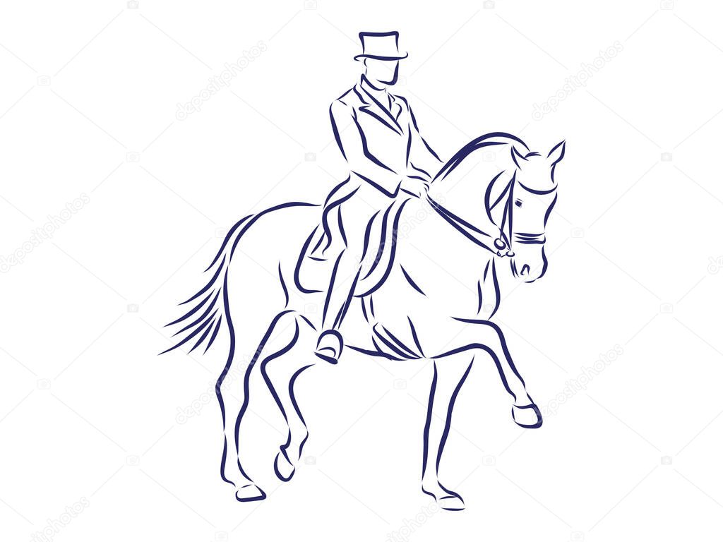 Horseback riding, horsemanship contour vector illustration