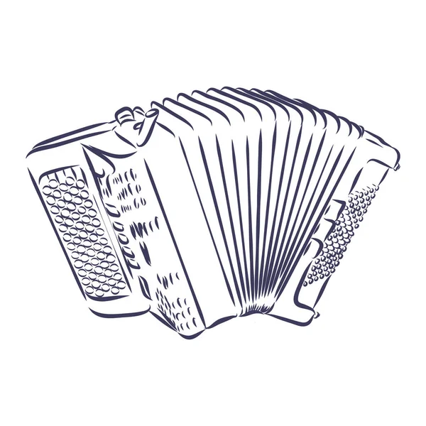 Accordion Instrumento Musical Desenho Estilo Doodle Ilustração Vetor Desenhado Mão —  Vetores de Stock