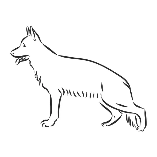 Duitse Herder Hond Ras Vector Illustratie Van Hond Toon Teken — Stockvector