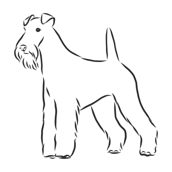Foxterrier Hund Skiss Kontur Vektor Illustration — Stock vektor