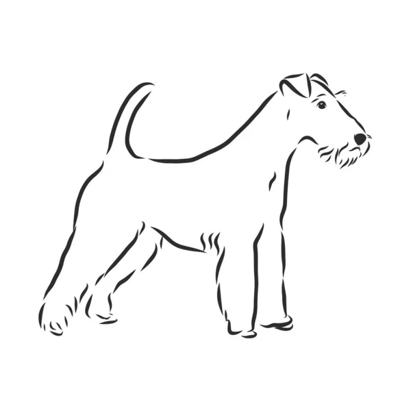 Foxterrier Dog Sketch Contour Vector Illustration — Stock Vector